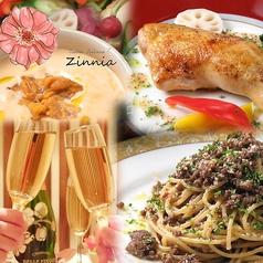 クッチーナ イタリアーナ ジニア Cucina Italiana Zinnia