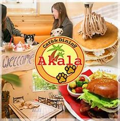 Cafe&Dining Akala(かふぇあんどだいにんぐあから)
