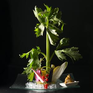 【これがつきだし】剣山 こだわり野菜のスティックサラダもろ味噌バーニャカウダー