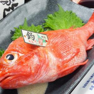 北海道網走産 生で食べられる釣りキンキは絶品！！！