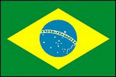 ブラジル 手摘み完熟一番摘み