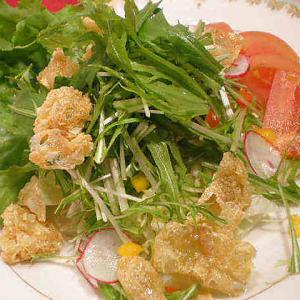 揚げ湯葉と水菜のサラダ
