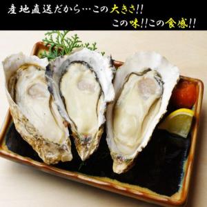 朝獲れ鮮度◎大人気の生牡蛎300円(税抜)！実は大粒で濃厚ぷりっぷり！！