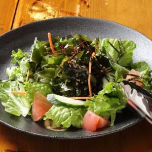 海藻と胡麻香るチョレギサラダ
