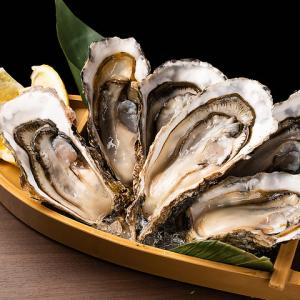 国産で唯一、1年通じて生食がうまい「幻の牡蠣」≪北海道厚岸産 生牡蠣(カキ) Mサイズ≫
