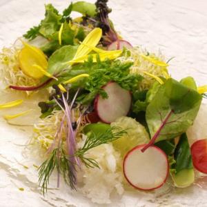 真鯛の昆布〆と十数種の野菜のカルパッチョ