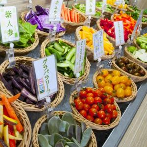 【★☆TVでも話題☆★】30種以上の旬野菜サラダコーナー体験！
