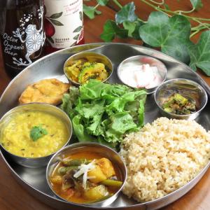ダブルカレー Indian Curry Plate