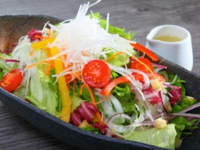 11種類の野菜を自家製ドレッシングで『葡萄匠屋サラダ』