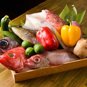 豊洲市場から直送の鮮魚をご提供しております