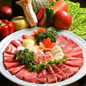 肉カジセット(3人～4人前)
