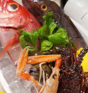 千葉の勝山港より旬の鮮魚をお客様の御要望に合わせて調理いたします