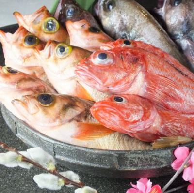 各種宴会の予約はお早目に 夜は鮮魚 旬の食材を活かした和食を手頃な価格で