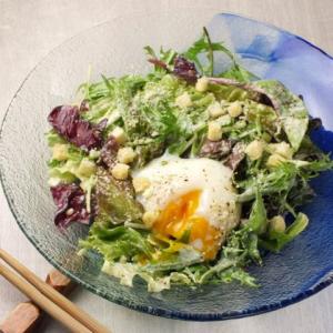 10種野菜のグリーンサラダ(和風ダシとレモンドレッシング)