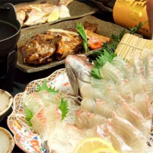 釣って食べれる鯛料理(手前から刺身・煮つけ・塩焼き・しゃぶしゃぶ)