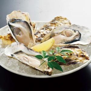 牡蠣生産量は全国1位の広島！濃厚な味わいの殻付き「瀬戸内生牡蠣」