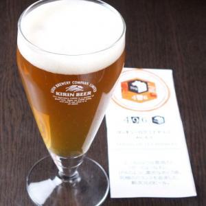 【クラフトビール】496