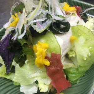 豆腐と海藻サラダ