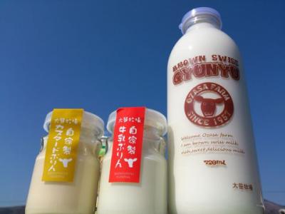 牛乳プリン/カスタードプリン
