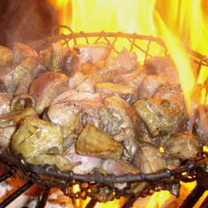 鹿児島県直送 薩摩地鶏の炙り焼き