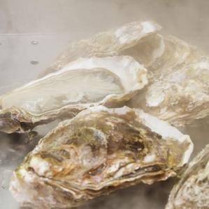 本日の◯◯産酒蒸し仕立て半生牡蠣