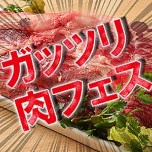 【ガッツリ肉フェスコース】(全6品)4500円【お得なクーポンご利用ください】