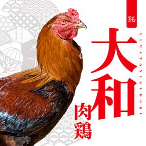 【大好評】「大和肉鶏」を使用した、軍鶏(しゃも)料理に人気集中！
